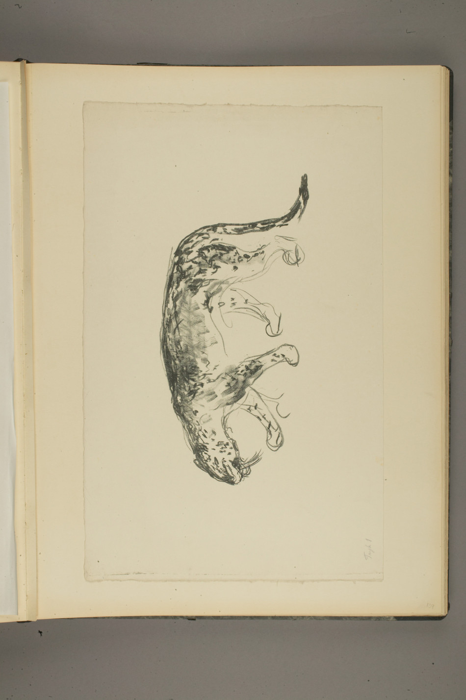 No-MM_T2547-139r.jpg No-MM_T2547-139r.jpg