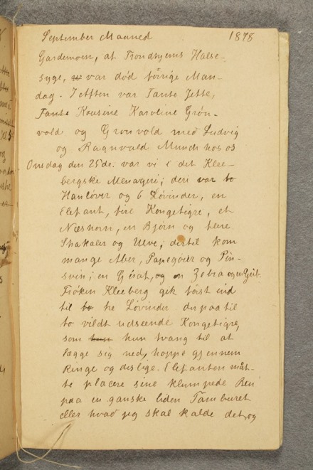 No-MM_T2924-17r.jpg